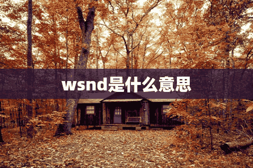 wsnd是什么意思